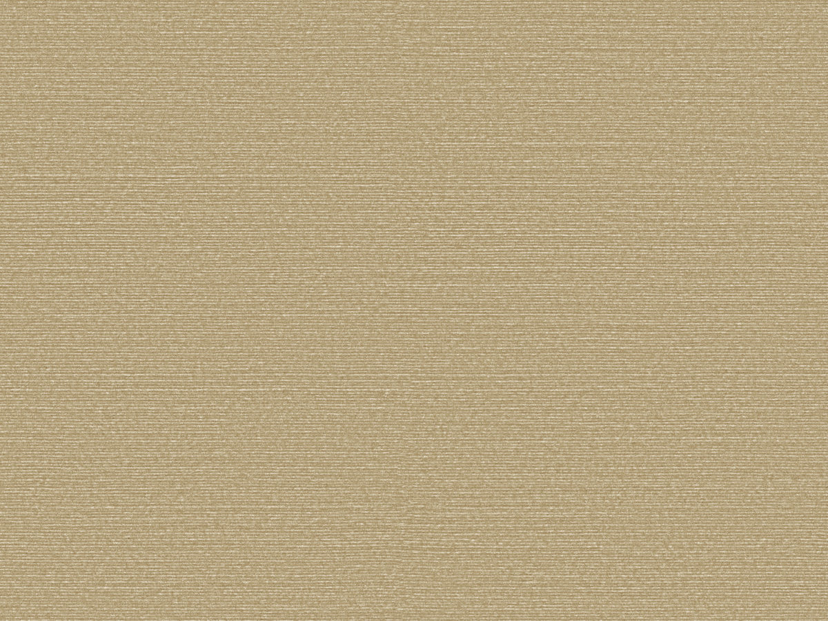 Обои Birds of Paradise | BOP319