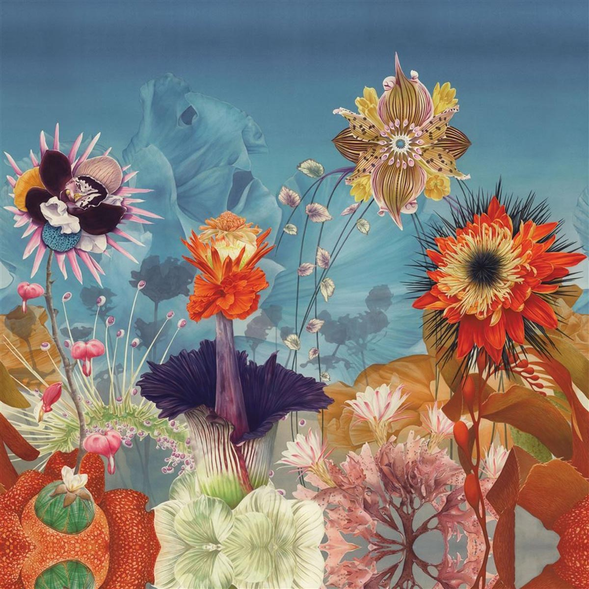 Обои Pele Mele | PCL7056