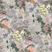 Обои Tulipa Stellata | pdg1038-02