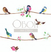 Обои Pajama Party | kj52202