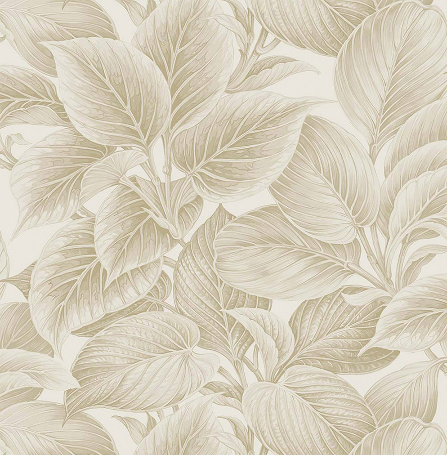 Обои Shades of White | ws70305