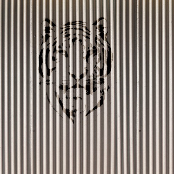 Обои Panorama | V125-2