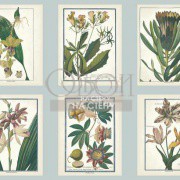 Обои Toiles 2 | AF1930