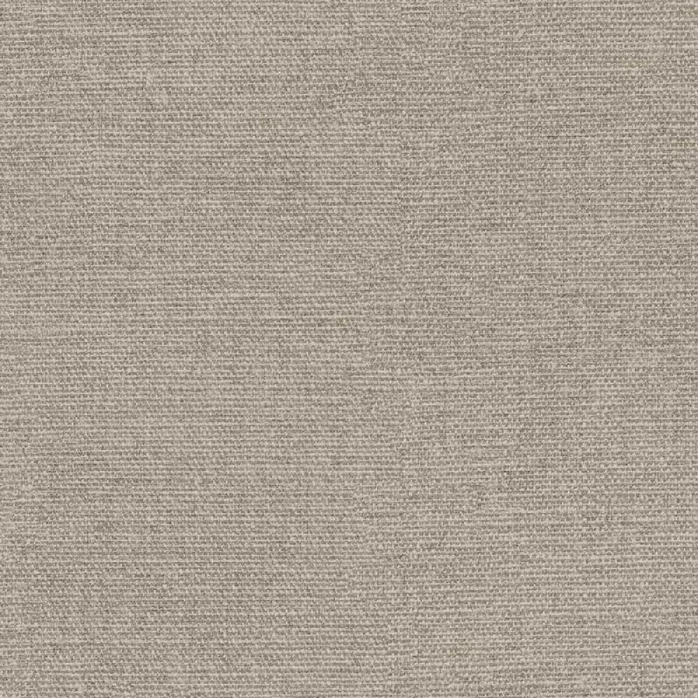 Обои Solange | 340254