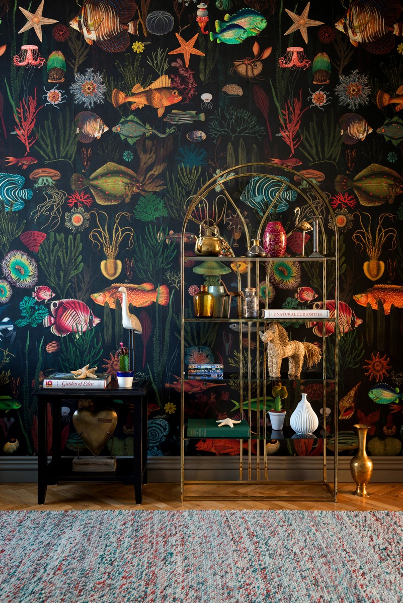 Обои Collectables | WP20304