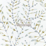 Обои Anthozoa | 111636