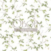 Обои Gourmet Tour 2 | G12265