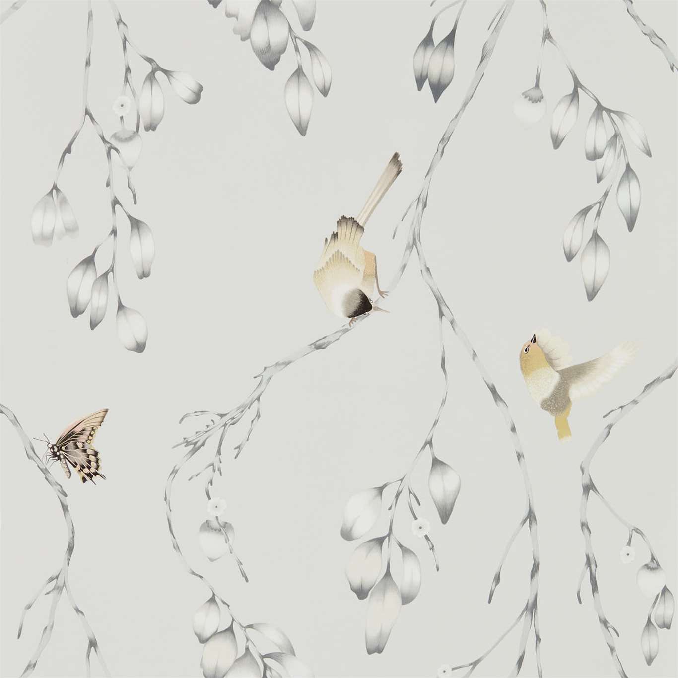 Обои Zapara | 111768