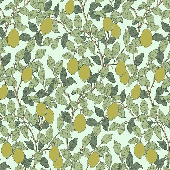 Обои Equator | QTR3 006