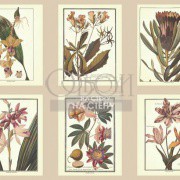 Обои Toiles 2 | AF1933