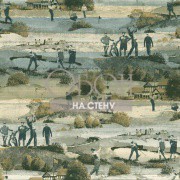 Обои Menswear | MW9232