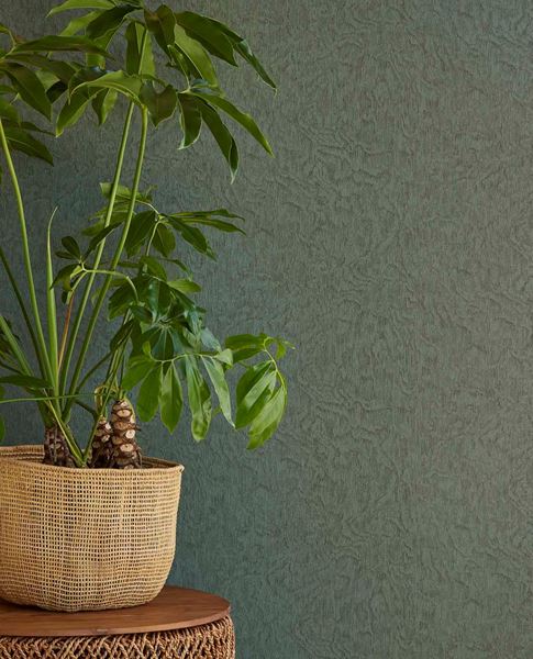 Обои Embrace | 324055