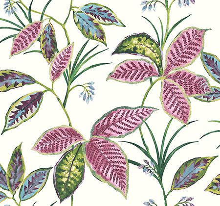 Обои Maui Maui | tp80801