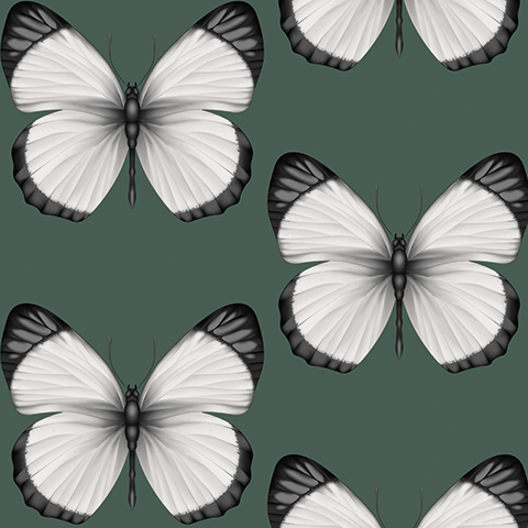 Обои Cheradi | 54401-5