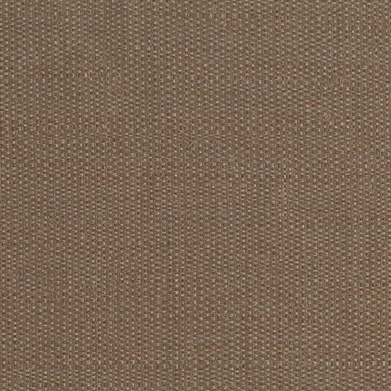 Обои Forest | 50150