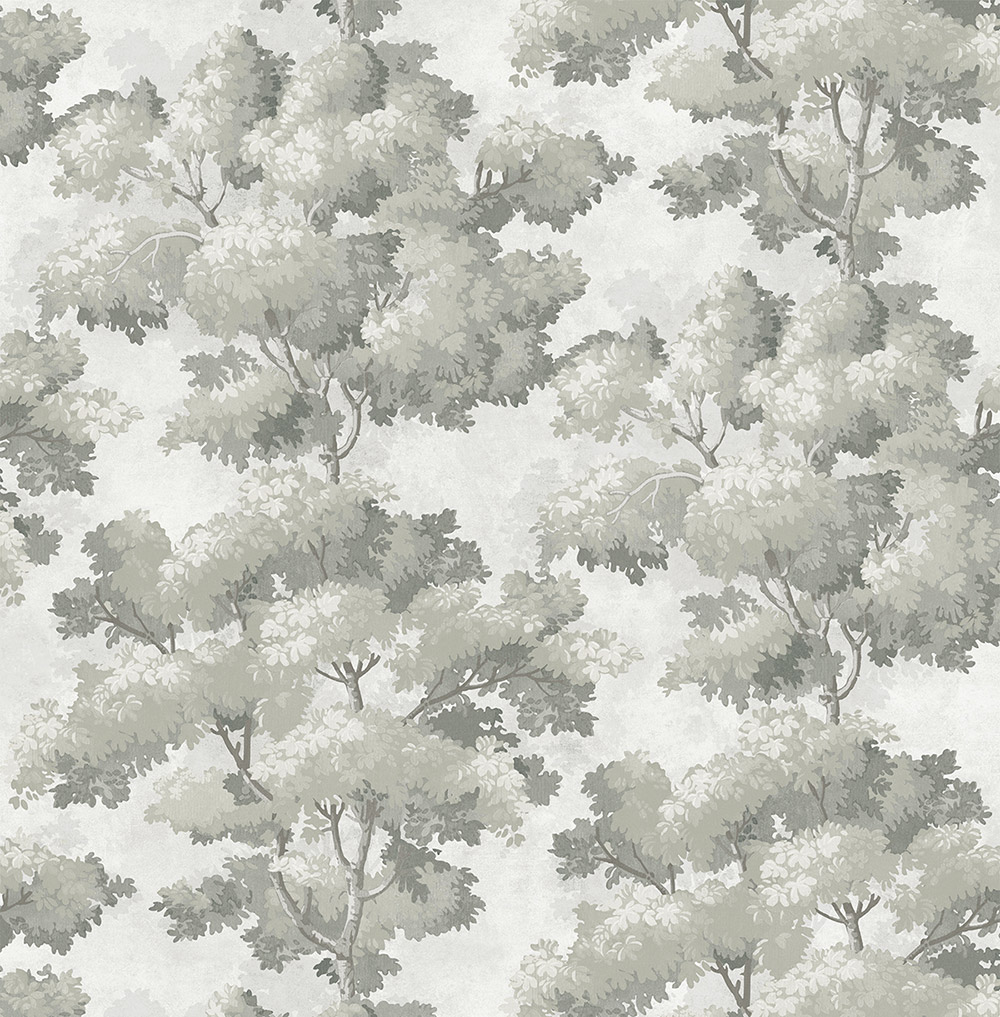 Обои Trees | TR70807