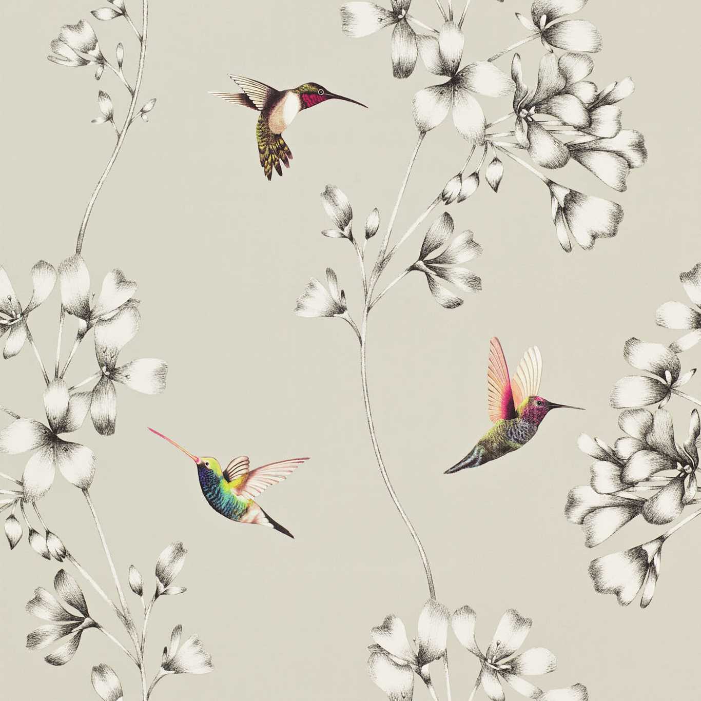 Обои Colour 2 | 111062