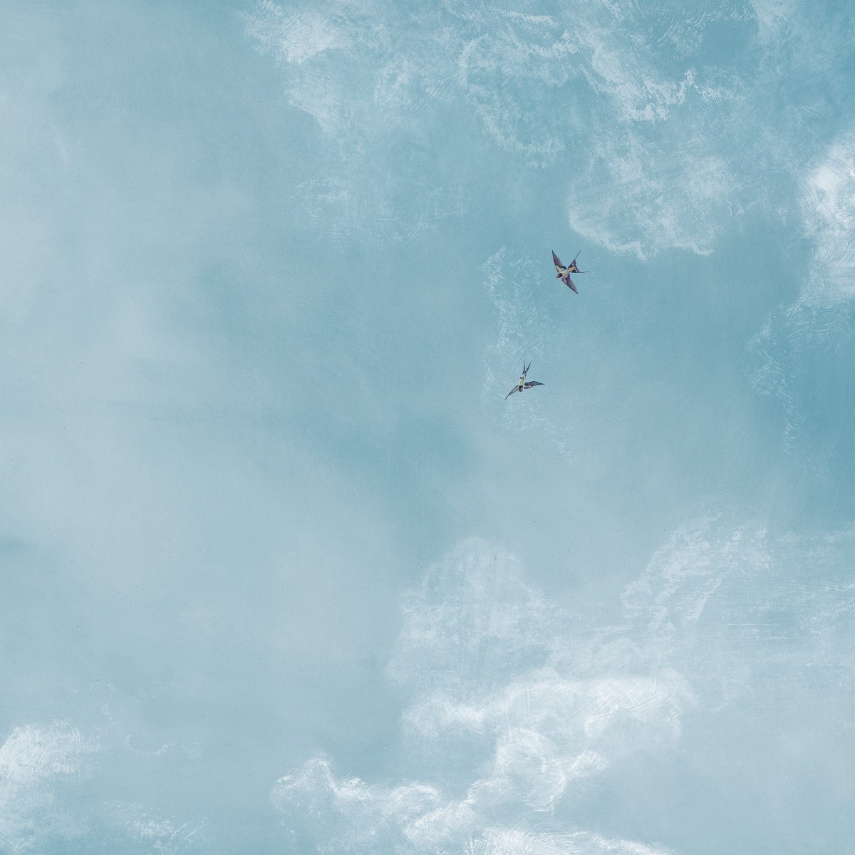 Обои Anastasie | 6242401