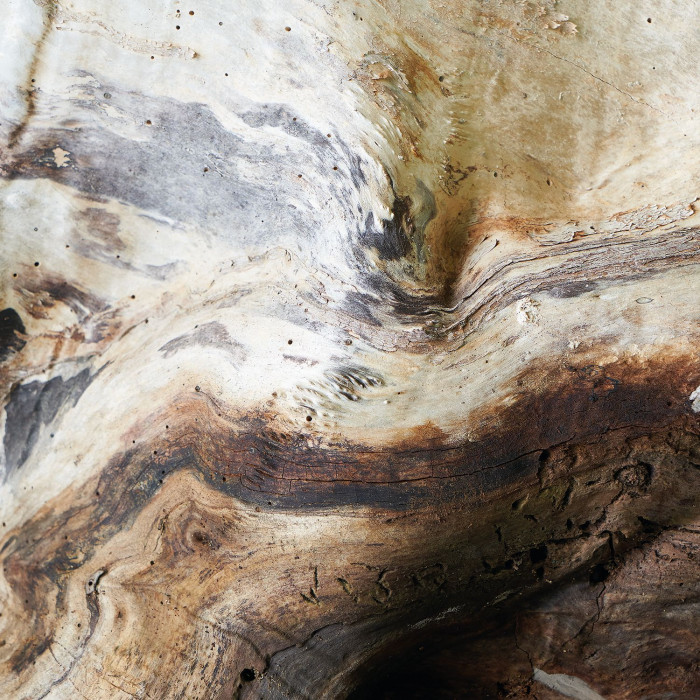 Обои Woods | 86151575