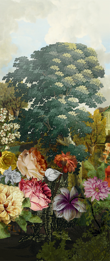 Обои Kent | DGKEN2022