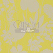 Обои Amazilia | 111050