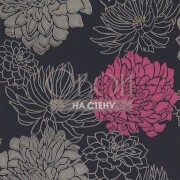 Обои Feature Walls | HOU_30481