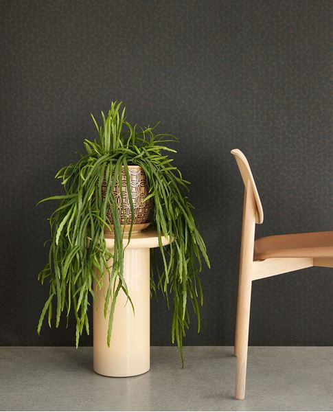 Обои Artifact | 312445