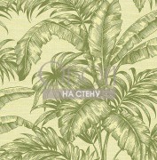 Обои Sage 2 | sg41404