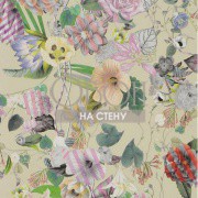 Обои Incroyables et Merveilleuses | PCL695-05