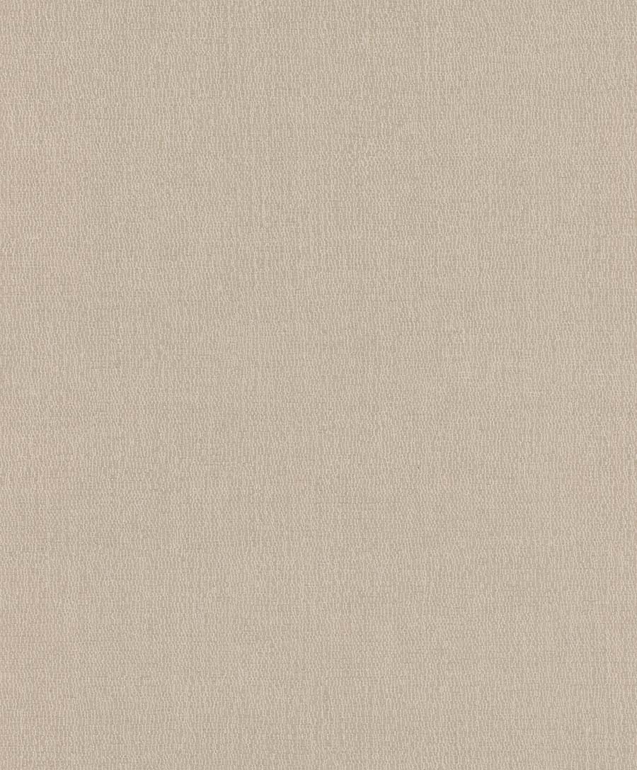 Обои Moana | 300580