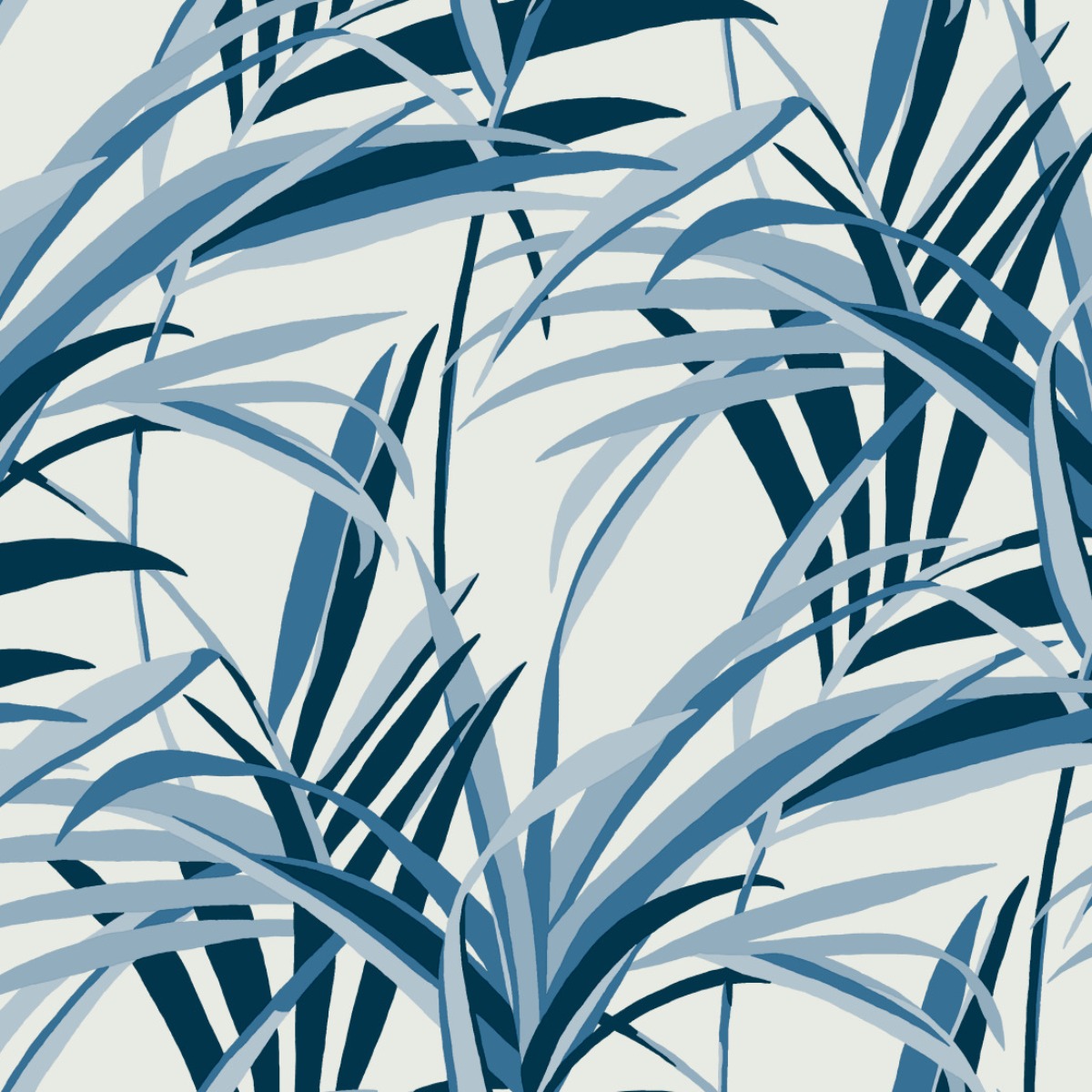 Обои Tropics Resource Library | TC2602