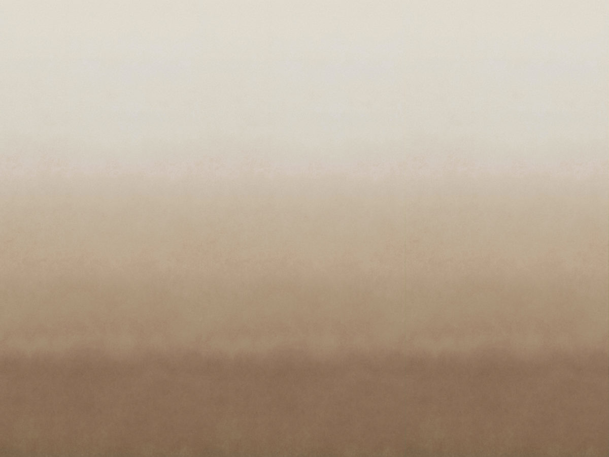 Обои Joy | JOY82