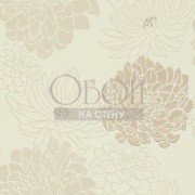 Обои Feature Walls | HOU_30486