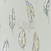 Обои Anthozoa | 111656