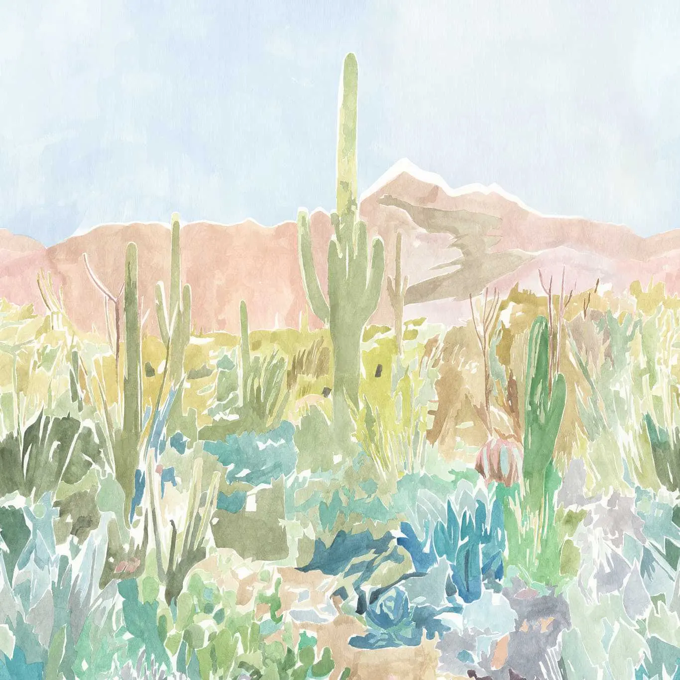 Обои Zamora | 113369