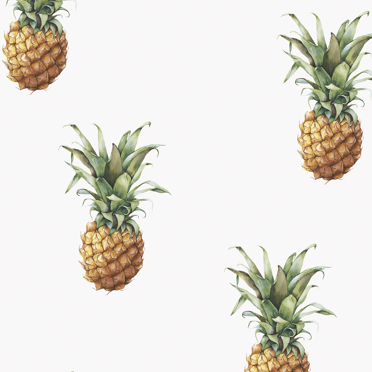 Обои Just Kitchens | G45453