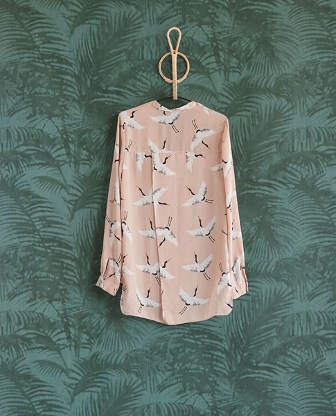 Обои Oasis | 317306