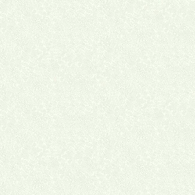 Обои Rifle Paper Co | RI5115