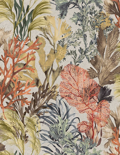 Обои Tropical | 26736