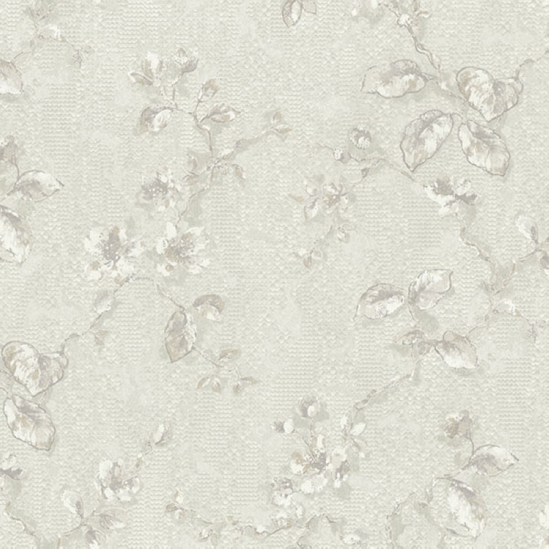 Обои Accademia | Z10909