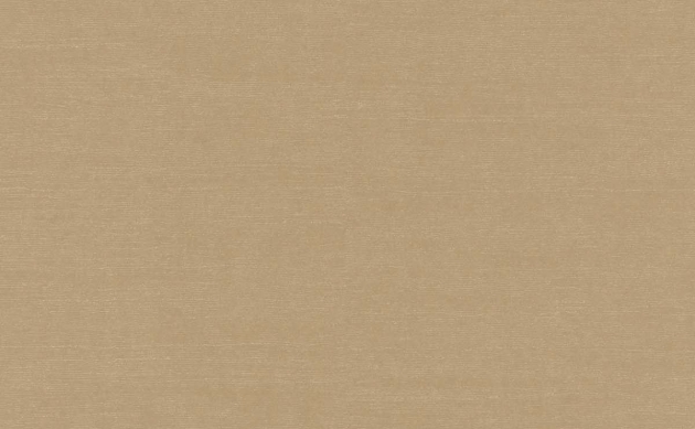 Обои Emil & Hugo Zanzibar | 290034