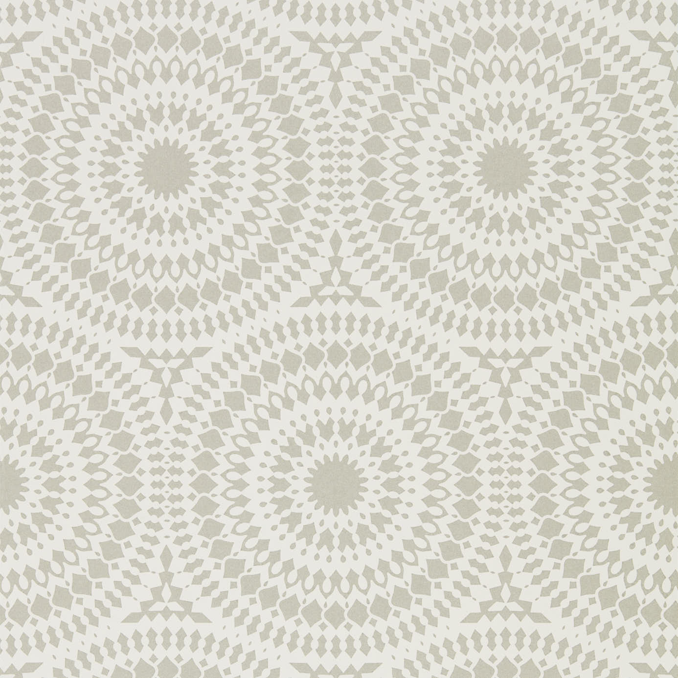 Обои Paloma | 111884