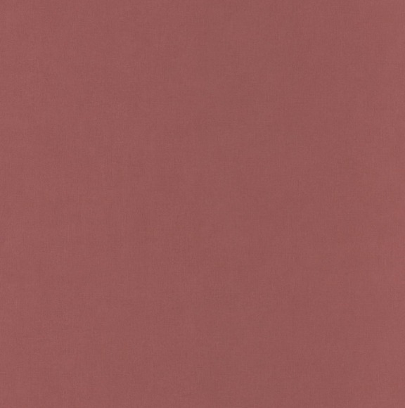 Обои Flower Power | 64524250