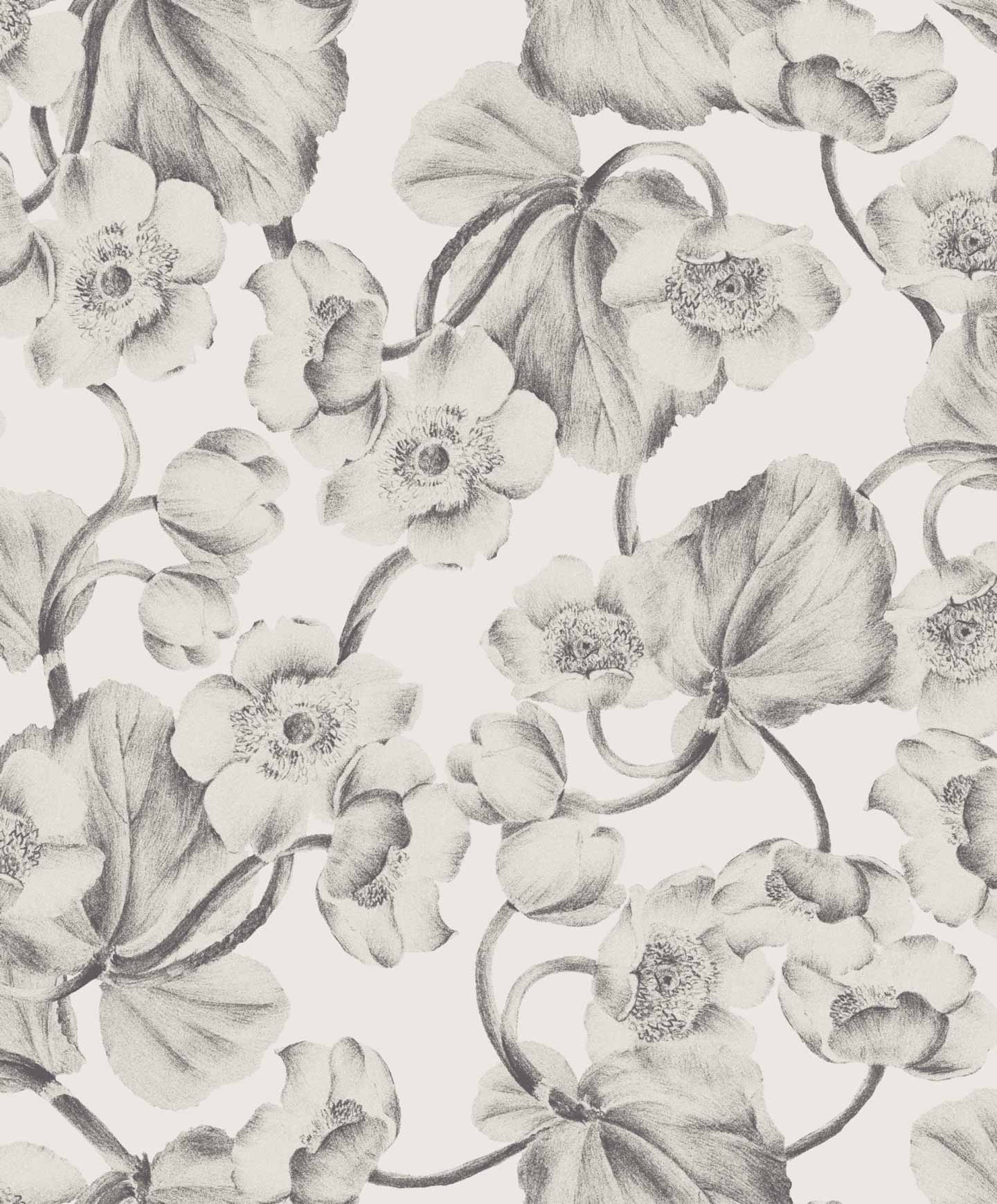 Обои Kent | KEN301