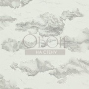 Обои Amazilia | 111071