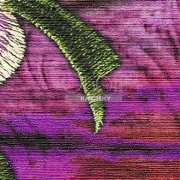 Обои Talamone | VP857 01