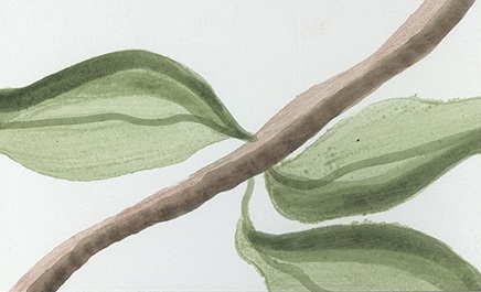 Обои Horus | 58723