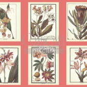 Обои Toiles 2 | AF1931