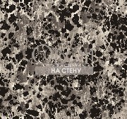 Обои Carl Robinson 12 | cr41800