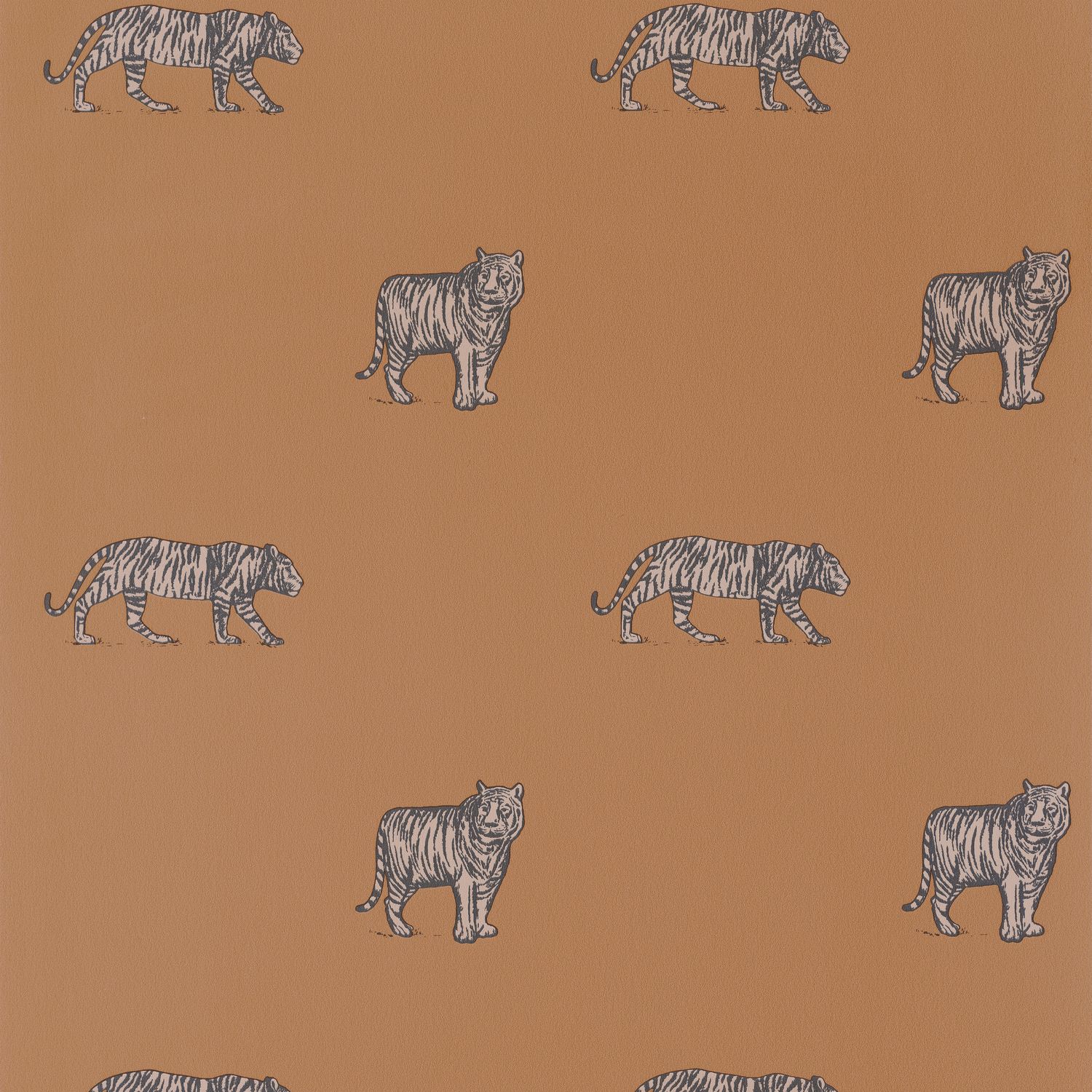 Обои Our Planet | 101962929